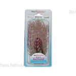 Tetra rostlina Red Foxtail Plus 15 cm – Zboží Dáma