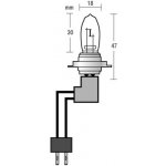 Lampa Italy H7 PX26d 12V 100W 2 ks – Hledejceny.cz