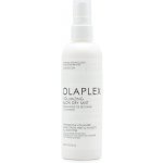 Olaplex Volumizing Blow Dry Mist 150 ml – Hledejceny.cz