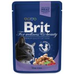Brit Premium Cat Cod Fish 100 g – Zbozi.Blesk.cz