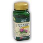 VitaHarmony Ostropestřec mariánský sily.140 mg 110 tablet – Hledejceny.cz
