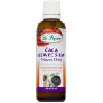 Dr. Popov Bylinné kapky Čaga Rezavec šikmý 50 ml – Hledejceny.cz