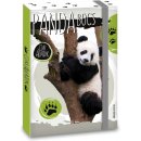 Ars Una box na sešity Cute Animals panda A5