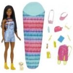 Barbie DHA KEMPUJÍCÍ BROOKLYN – Hledejceny.cz