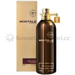 Montale Wild Aoud parfémovaná voda unisex 100 ml – Hledejceny.cz