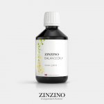 Zinzino BalanceOil Vegan Lemon Omega 3 pro vegany 300 ml – Hledejceny.cz