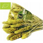 Mursalský čaj z Ránhoja horského 22 g – Hledejceny.cz