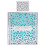 Rayhaan aquatica parfémovaná voda pánská 100 ml – Hledejceny.cz