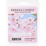 Kringle Candle vosk do aromalampy Cherry Blossom 64 g – Hledejceny.cz