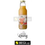 Moštárna Louny MOŠT JABLKO S RAKYTNÍKEM 750 ml – Zboží Dáma