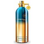 Montale Tropical Wood parfémovaná voda unisex 100 ml – Hledejceny.cz