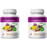 Mycomedica Ostropestřec 2 x 90 kapslí – Hledejceny.cz