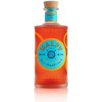 Malfy Gin con Arancia 41% 0,7 l (holá láhev) – Zboží Dáma