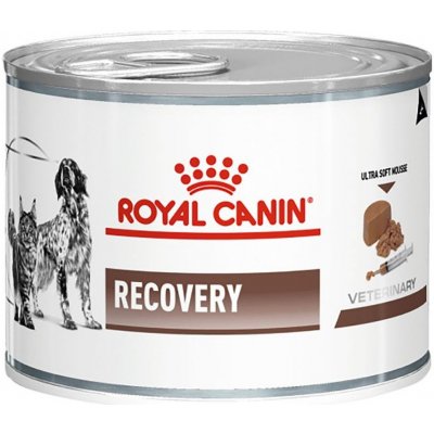 Royal Canin VD Fel / Can Recovery 195 g – Zboží Mobilmania