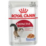 Royal Canin Instinctive jelly 96 x 85 g – Sleviste.cz