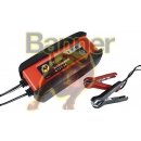 Banner Accucharger 6/12V2A