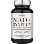 NAD+ Synergy 40 kapslí – Hledejceny.cz