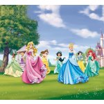 Závěsy foto Princess 180x160cm FCS XL 4322 – Hledejceny.cz