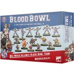 GW Warhammer The Middenheim Maulers Old World Alliance Blood Bowl Team – Zbozi.Blesk.cz