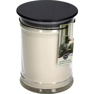 Bridgewater Candle Company Up With The Sun 524 g