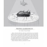 Velká kniha vánočních detektivek a záhad - Agatha Christie – Zboží Mobilmania