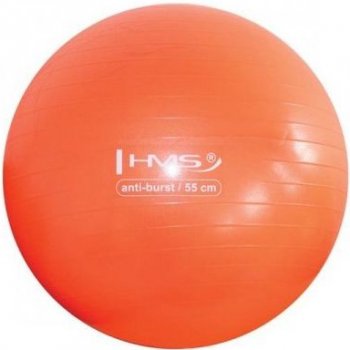 HMS YOGA BALL 55 cm