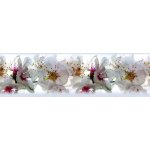 AG Design WB-8208 samolepící bordura Orchideje, rozměry 0,14 x 5 m – Zboží Dáma