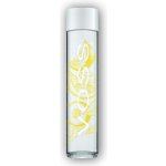 Voss Perlivá voda citron okurka ve skle 375 ml – Hledejceny.cz