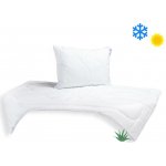 Brotex SET Aloe Vera UNICO 140x200 celoroční 850g 70x90 900g – Sleviste.cz