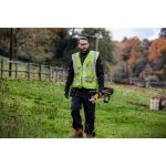 DeWalt DCM561P1 – Zboží Dáma