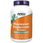 Now Magnesium Bisglycinate hořčík bisglycinát prášek 227 g – Hledejceny.cz