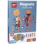 APLI edukační hra s magnety - Lidské tělo, 5+ – Sleviste.cz