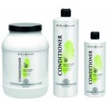 Iv San Bernard zelené jablko Kondicionér 500 ml – Zboží Mobilmania