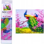 Norimpex Diamantové malování Pávi 30 x 40 cm – Sleviste.cz