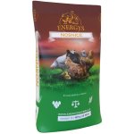 Energys Nosnice Klasik sypké 25 kg – Zboží Dáma