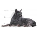 Royal Canin Sterilised 7+ 0,4 kg – Hledejceny.cz