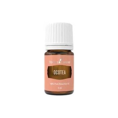 Young Living Ocotea esenciální olej 5 ml – Hledejceny.cz