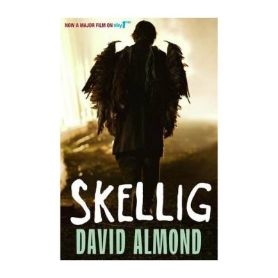 Skellig - David Almond – Hledejceny.cz