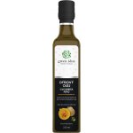 Green idea Dýňový olej 250 ml – Hledejceny.cz