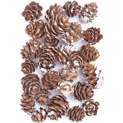 Ozdobné mini šišky pokryté sněhem – Zboží Dáma