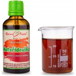 Bylinné kapky Mateřídouška Duše rostlin 50 ml – Hledejceny.cz