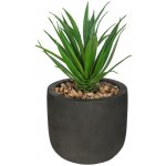 Atmosphera Umělá rostlina ALOE, 20cm, černý květináč – Sleviste.cz