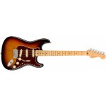 Fender American Professional II Stratocaster – Hledejceny.cz