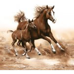 Ubrousky na dekupáž Horses – Zboží Dáma