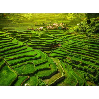 WEBLUX 149173754 Samolepka fólie Batad Rice Terraces in Northern Luzon Rýžové terasy Batad v severním Luzonu na Filipínách., rozměry 100 x 73 cm – Zbozi.Blesk.cz