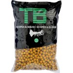 TB baits Boilies 10 kg 20 mm scopex / squid – Zbozi.Blesk.cz