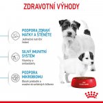 Royal Canin Starter Mother&Babydog Mini 8,5 kg – Sleviste.cz