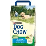 Purina Dog Chow Puppy Large breed Turkey 2 x 14 kg – Zboží Mobilmania
