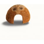 Komodo Habitat Coconut Den – Zbozi.Blesk.cz