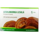 Lesklokorka lesklá 100 g